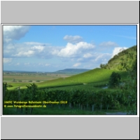 16692 Weinberge Bullenheim Oberfranken 2010.JPG